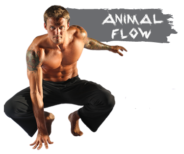 Master class de Animal Flow®